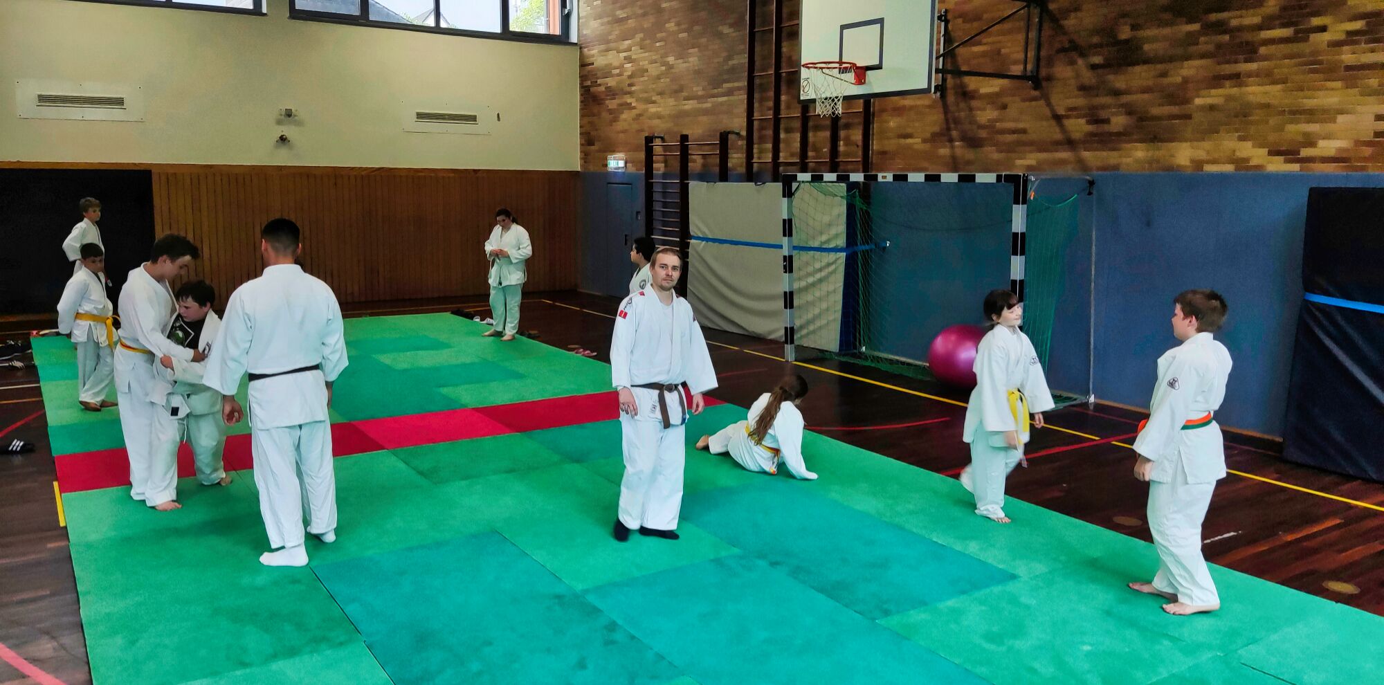 Trainingszeiten des 1. Viernheimer Judo Club e.V.